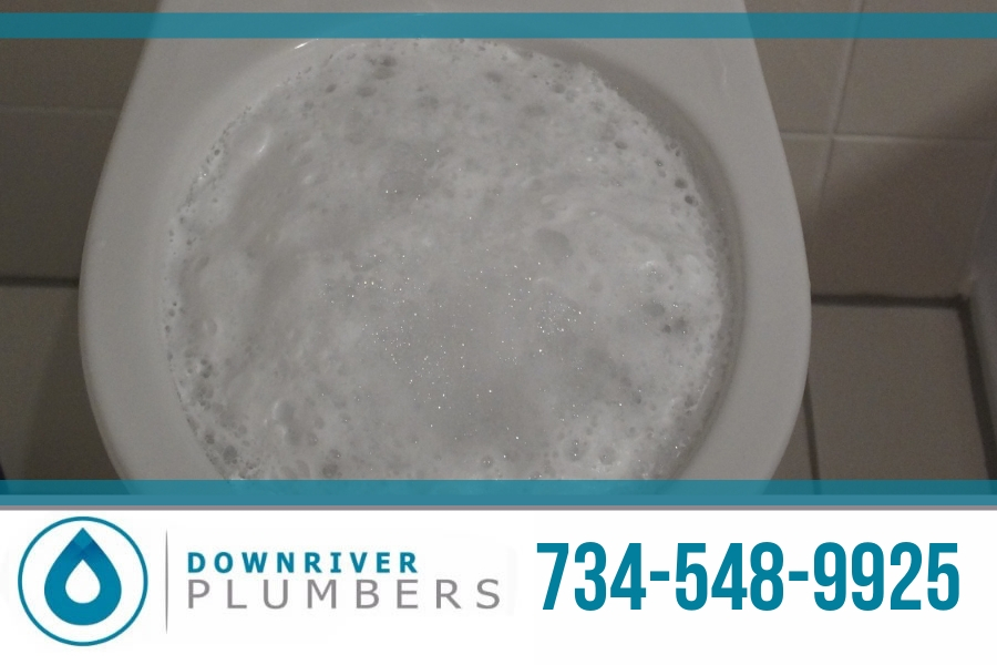 6 Signs Your Main Sewer Line is Damaged in Downriver Michigan